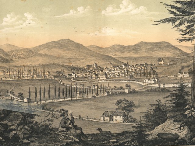 Pohled na Českou Lípu (Anton Weiss, 1851)