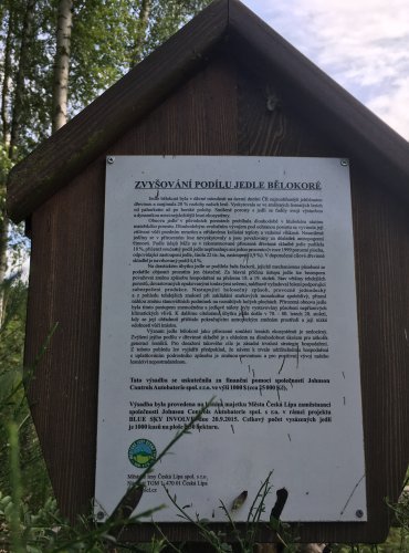 PROJEKT ZVYŠOVÁNÍ PODÍLU JEDLE BĚLOKORÉ – FOTO: Marta Knauerová, 2021