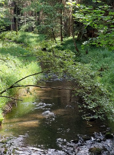 CHŘIBSKÁ KAMENICE – FOTO: Marta Knauerová, 2022