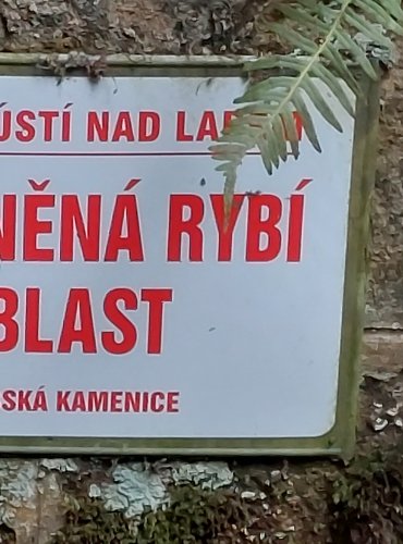 INFORMAČNÍ TABULE – FOTO: Marta Knauerová, 2022