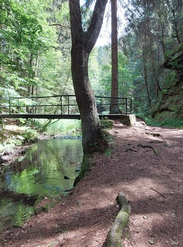 PŘECHODOVÉ MŮSTKY – FOTO: Marta Knauerová, 2022