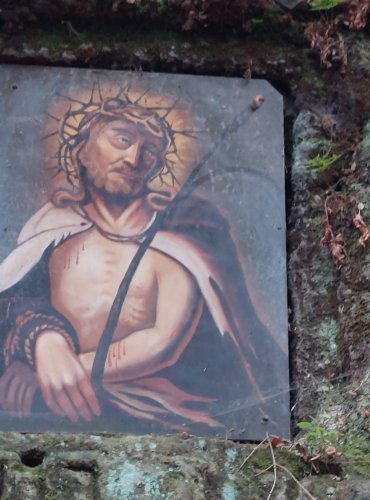 SKALNÍ OBRAZ – FOTO: Marta Knauerová, 2022