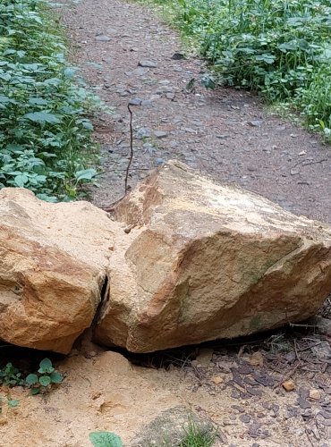 UVOLNĚNÝ PÍSKOVCOVÝ BALVAN – FOTO: Marta Knauerová, 2022