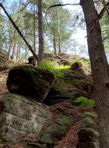 SKALNATÉ STĚNY – FOTO: Marta Knauerová, 2022