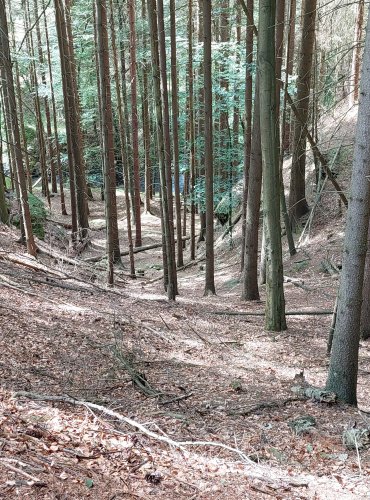 POHLED DO ÚDOLÍ – FOTO: Marta Knauerová, 2022