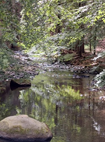 CHŘIBSKÁ KAMENICE – FOTO: Marta Knauerová, 2022