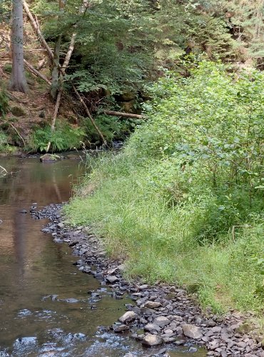 CHŘIBSKÁ KAMENICE – FOTO: Marta Knauerová, 2022