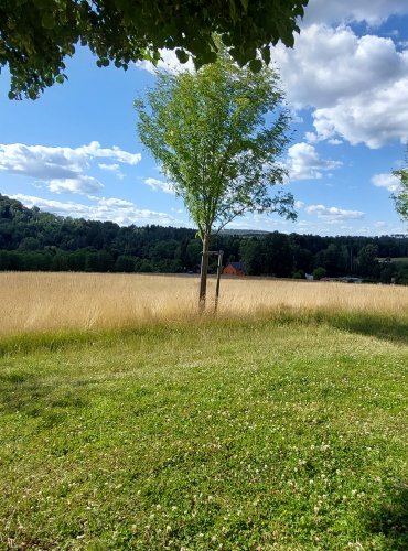 NÁRODNÍ PARK ČESKÉ ŠVÝCARSKO – FOTO: Marta Knauerová, 2022