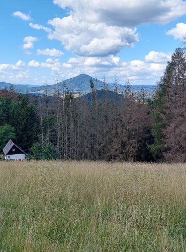 NÁRODNÍ PARK ČESKÉ ŠVÝCARSKO – FOTO: Marta Knauerová, 2022