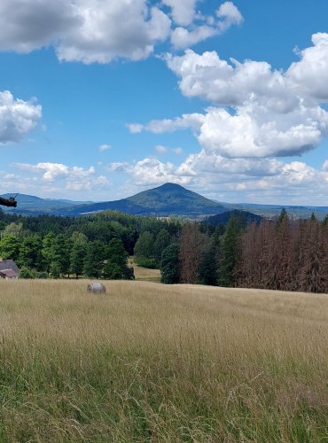 NÁRODNÍ PARK ČESKÉ ŠVÝCARSKO – FOTO: Marta Knauerová, 2022