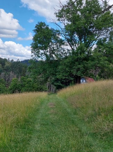 NÁRODNÍ PARK ČESKÉ ŠVÝCARSKO – FOTO: Marta Knauerová, 2022