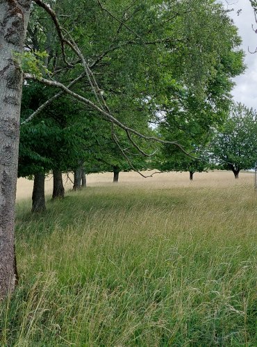 NÁRODNÍ PARK ČESKÉ ŠVÝCARSKO – FOTO: Marta Knauerová, 2022