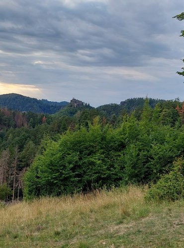 POHLED NA MARIINU VYHLÍDKU Z KŘÍŽOVÉ VRCHU U RYNARTIC – FOTO: Marta Knauerová, 2022