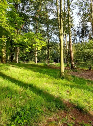 MĚSTSKÝ PARK, FOTO: Marta Knauerová, 2022