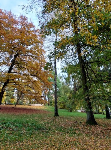 MĚSTSKÝ PARK, PODZIM, FOTO: Marta Knauerová, 2022