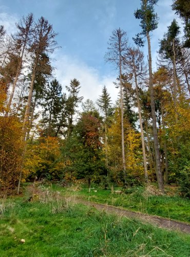 MĚSTSKÝ PARK, FOTO: Marta Knauerová, 2022