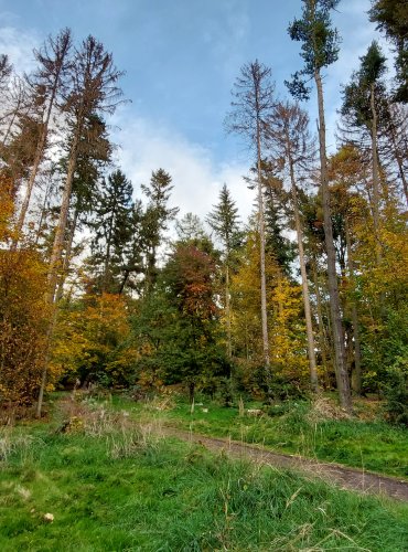 MĚSTSKÝ PARK, PODZIM, FOTO: Marta Knauerová, 2022