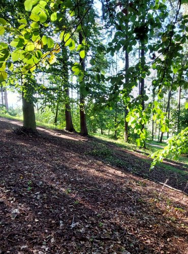 MĚSTSKÝ PARK, FOTO: Marta Knauerová, 2022