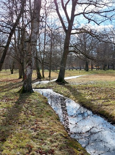 FRANTIŠKOLÁZEŇKÉ LESOPARKY, FOTO: Marta Knauerová, 2/2024
