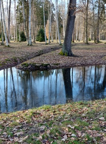 FRANTIŠKOLÁZEŇKÉ LESOPARKY, FOTO: Marta Knauerová, 2/2024