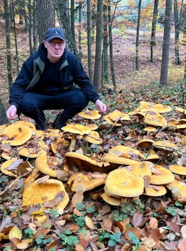Stanislav na snímku lokality vzácné Bedlovnice zlaté (Phaeolepiota aurea), zapsané v Červeném seznamu hub (makromycetů) České republiky v kategorii VU jako zranitelný druh. Foto: Lada Černá