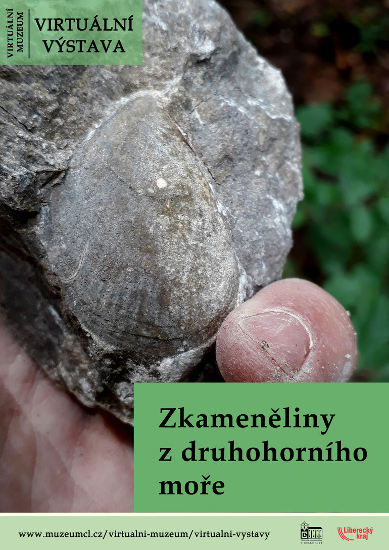 Zkameněliny z druhohorního moře