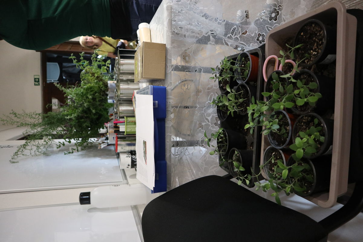 Orsejčin ekoateliér