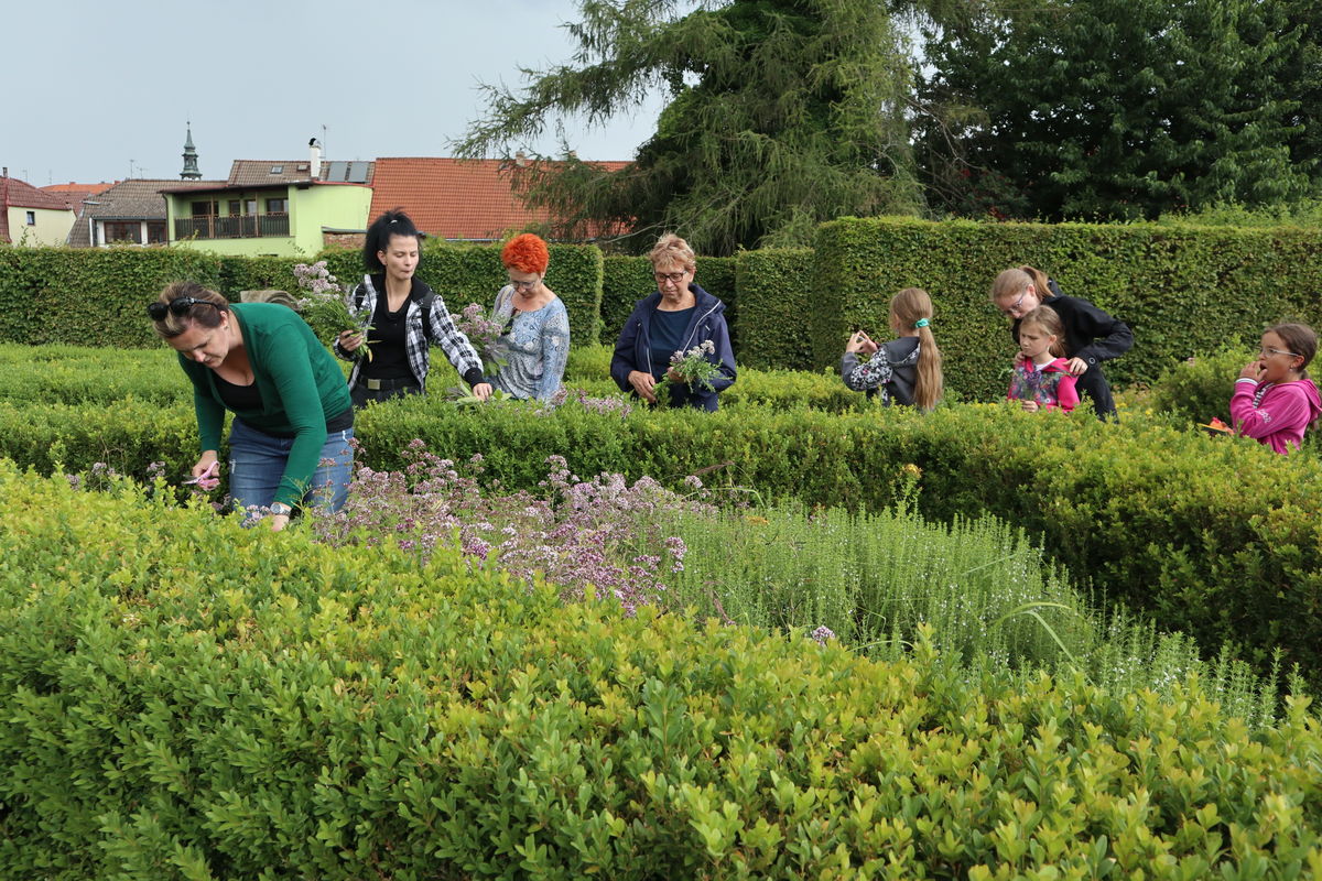 Orsejčin ekoateliér