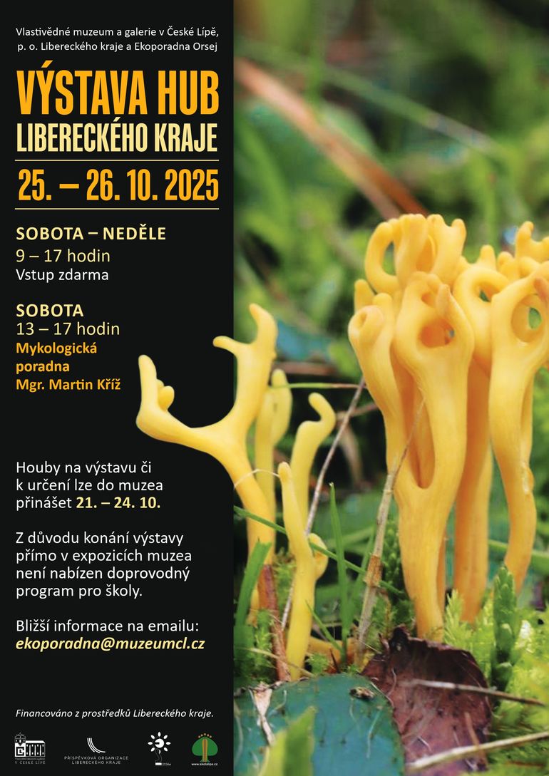 Výstava hub s mykologickou poradnou