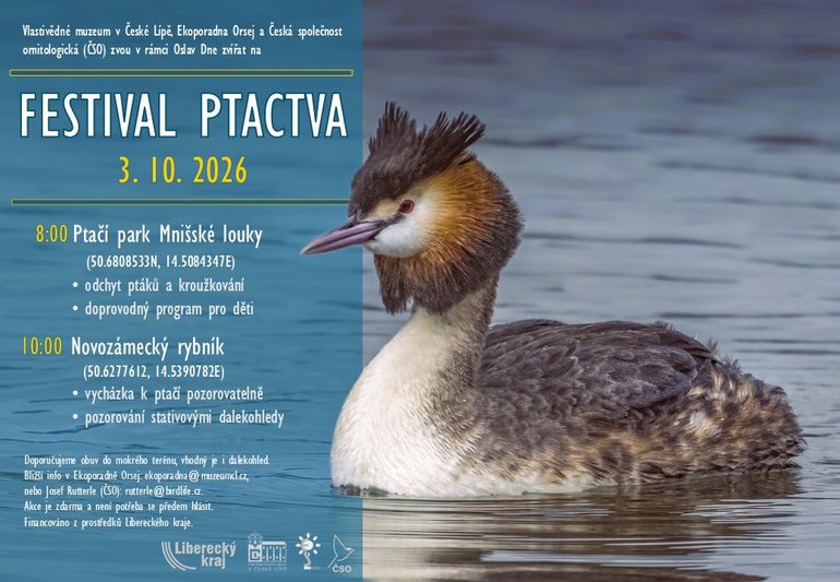 Festival ptactva