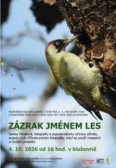 Zázrak jménem les