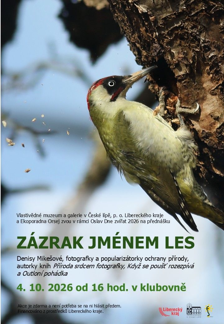 Zázrak jménem les