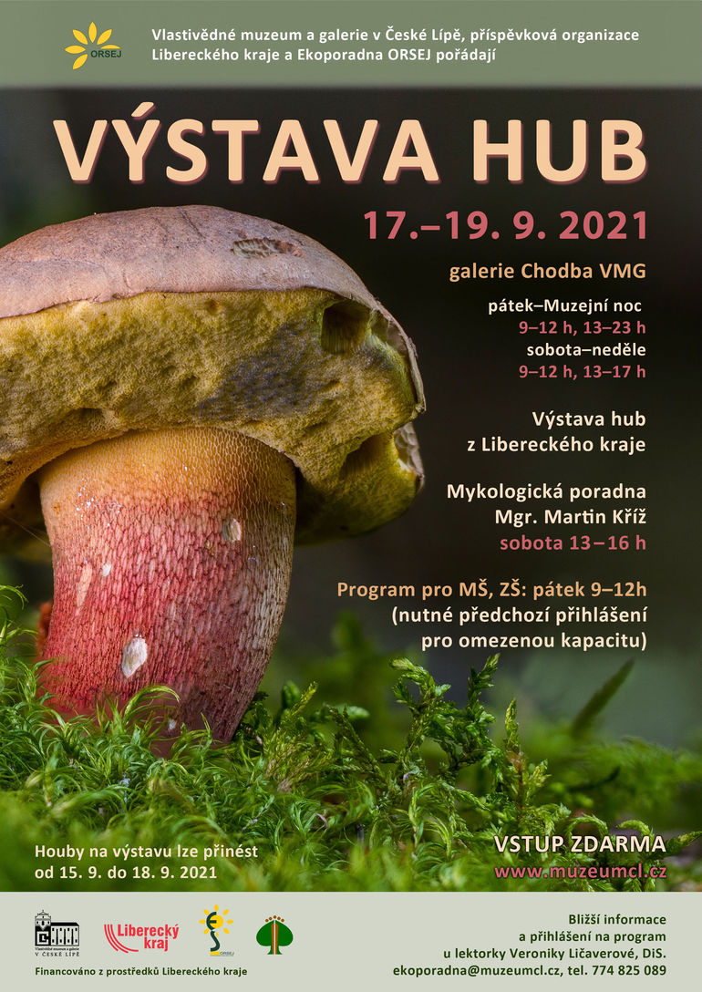 Výstava hub