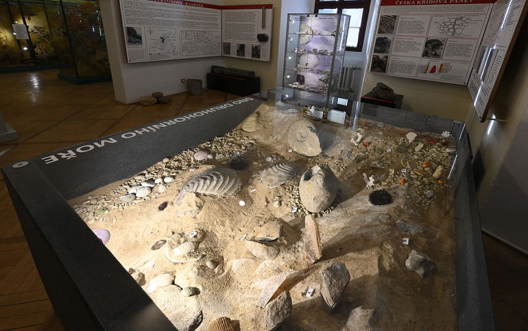 Geologická expozice